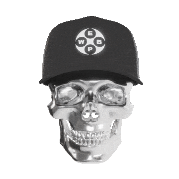 Chrome Skull Wearing Black Trucker Hat, Designed By WEBEXP